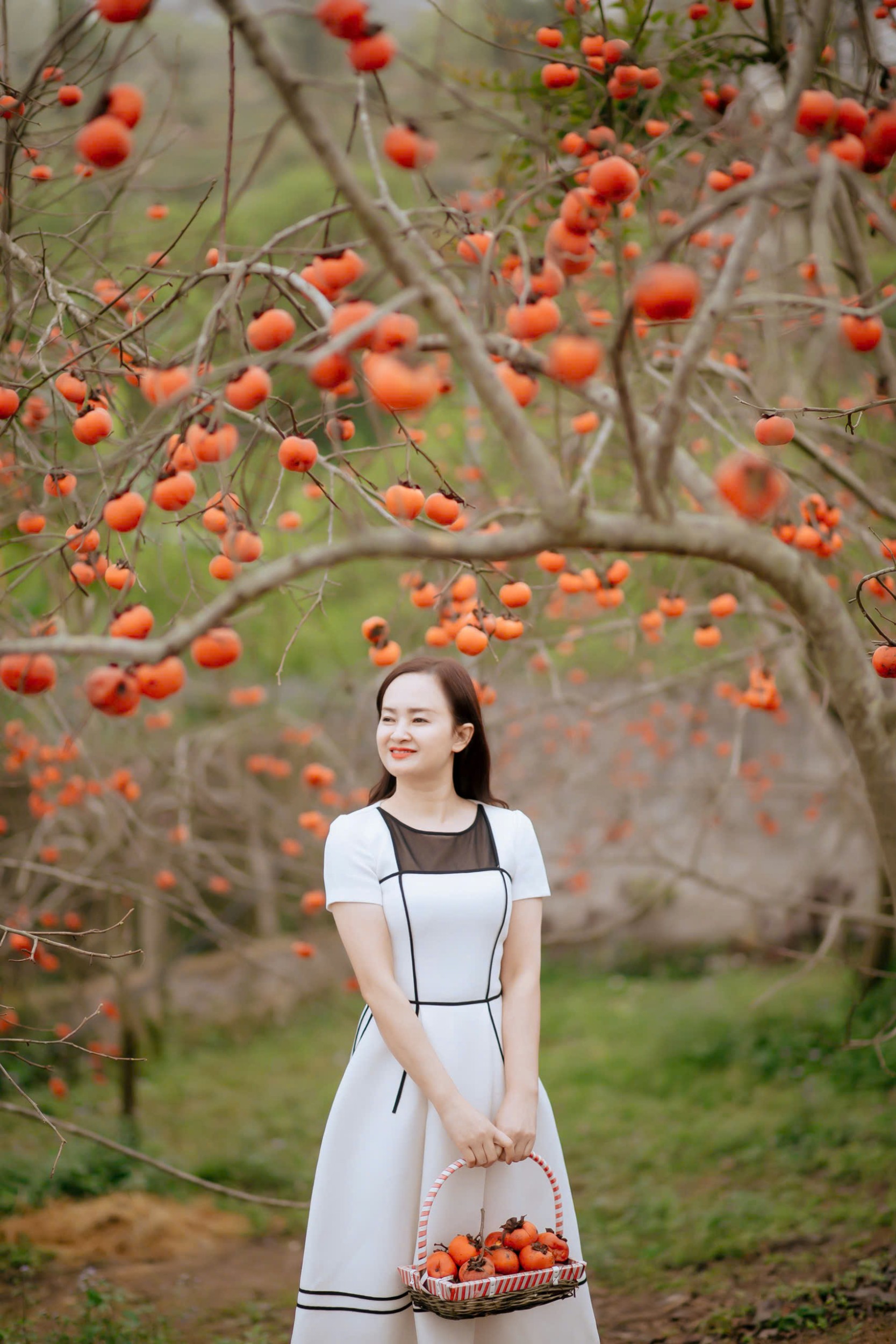 Cô Trần Nguyên Mỹ Hạnh